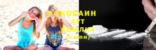 молекула духа Покачи