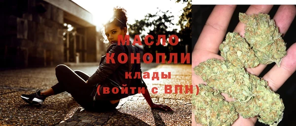 индика Покровск