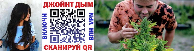 сколько стоит  Балахна  Бошки Шишки сатива 